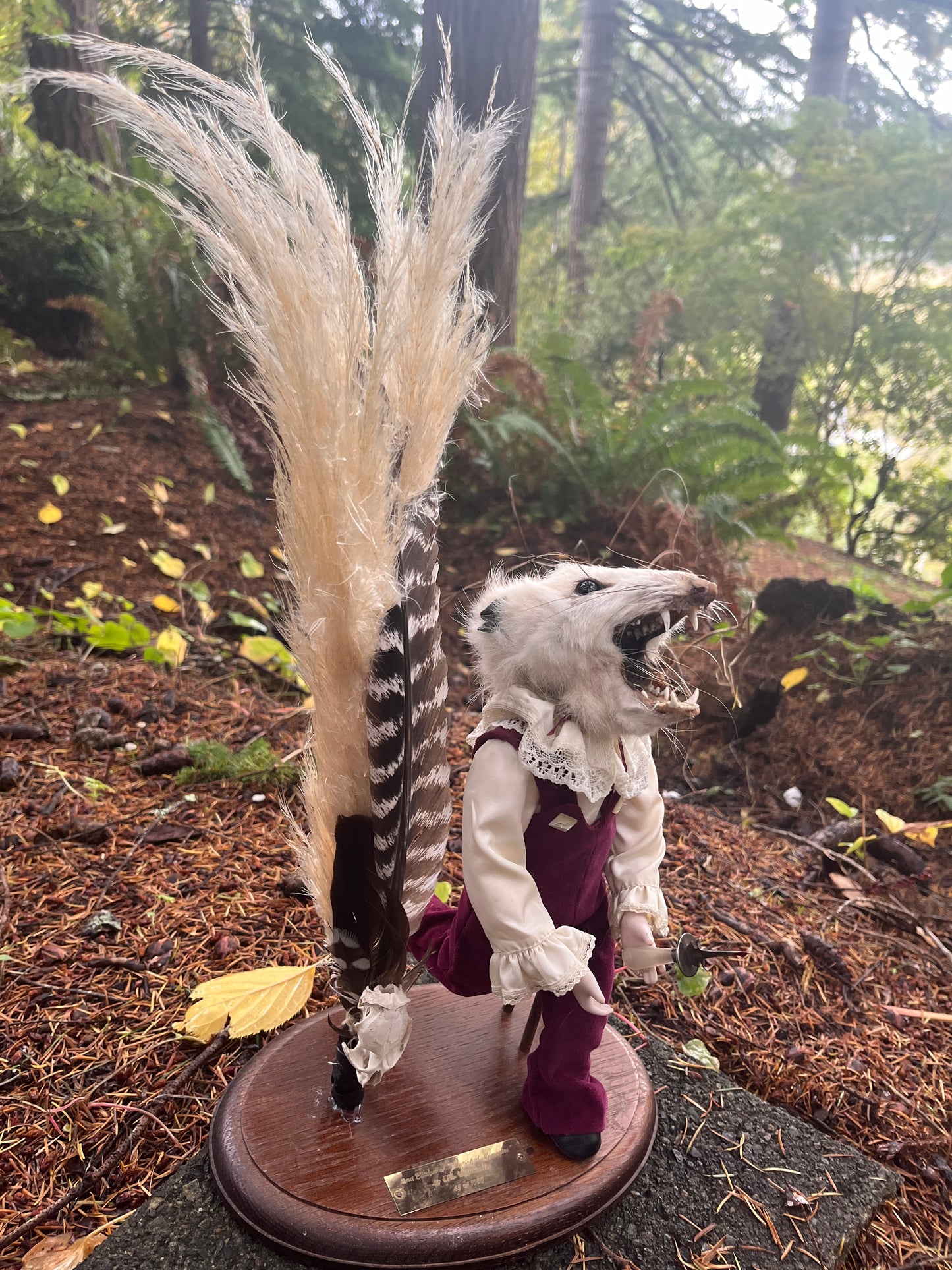 Victorian oppossum with knife