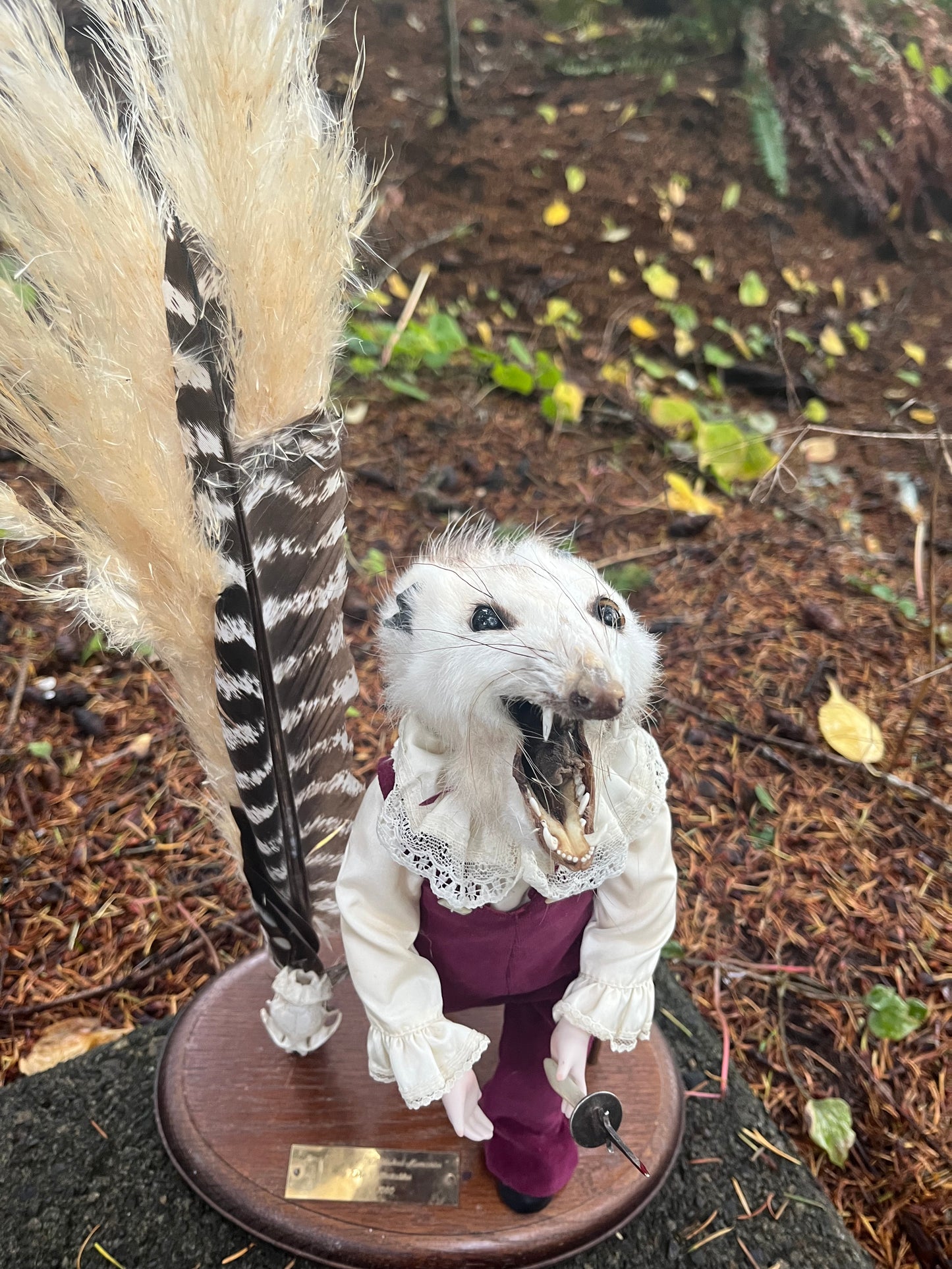 Victorian oppossum with knife