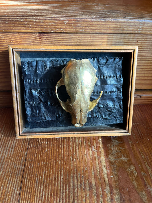 Gold raccoon skull