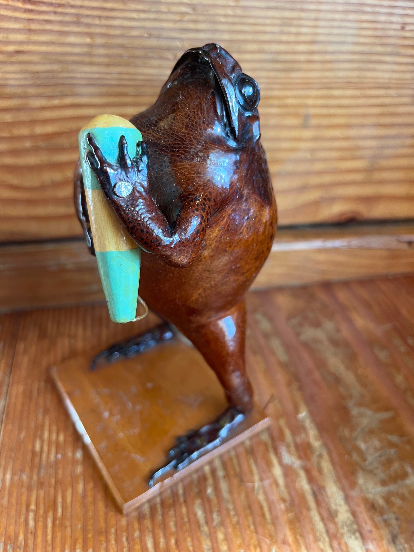 Vintage taxidermy cane toad