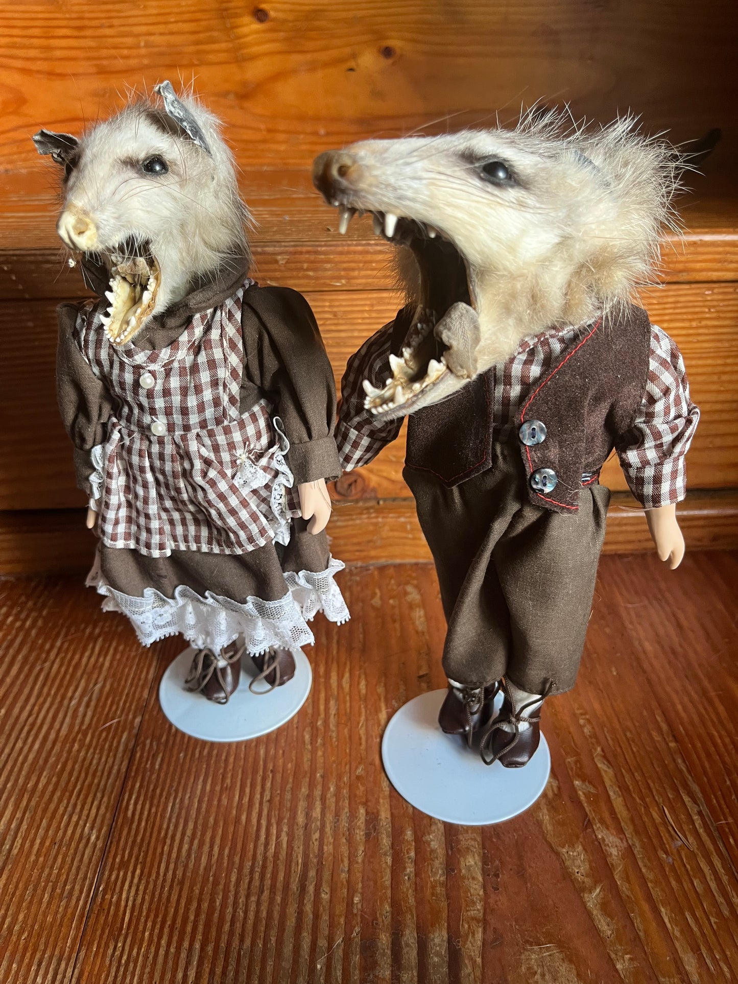 Opossum pair