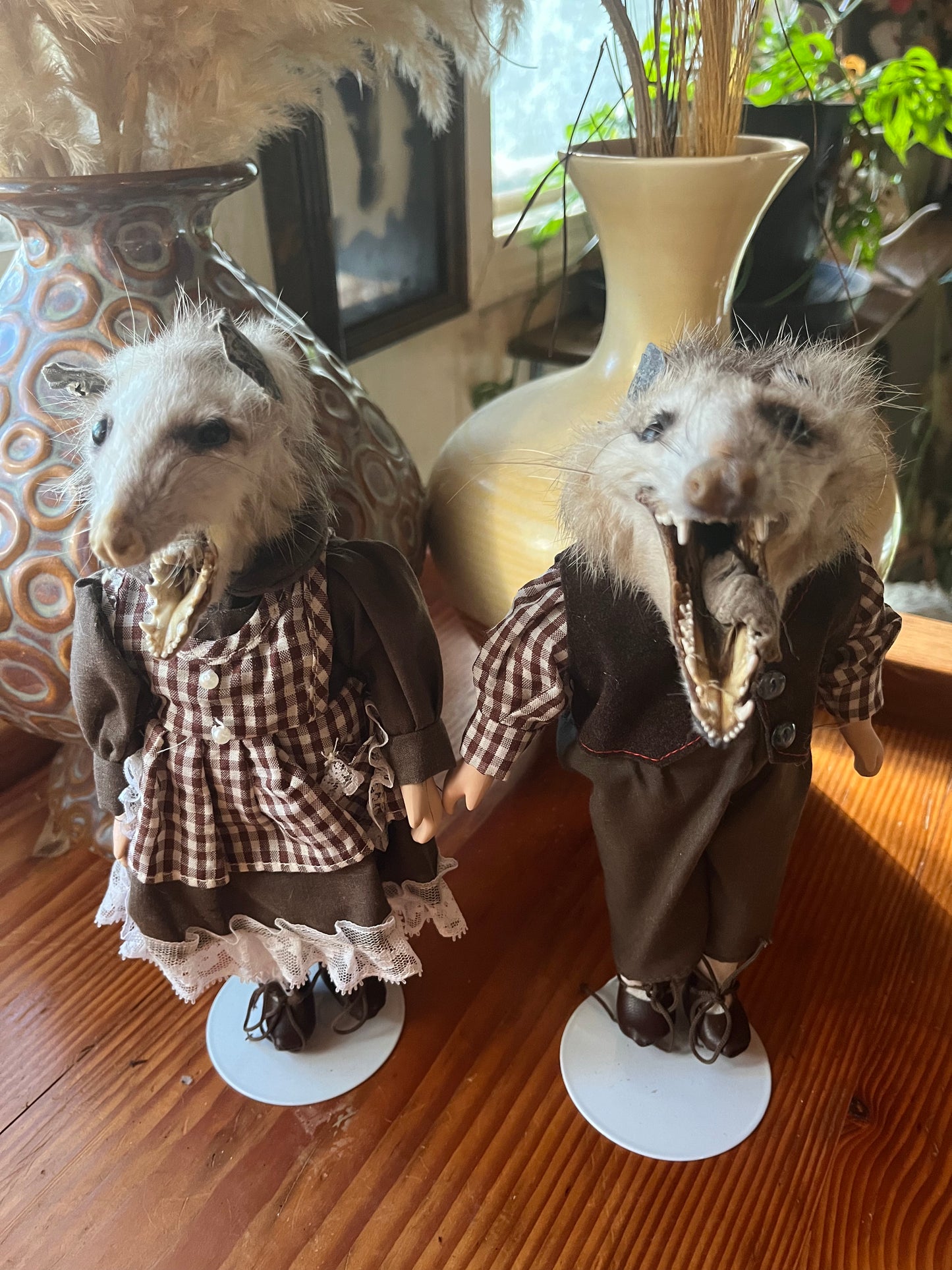 Opossum pair