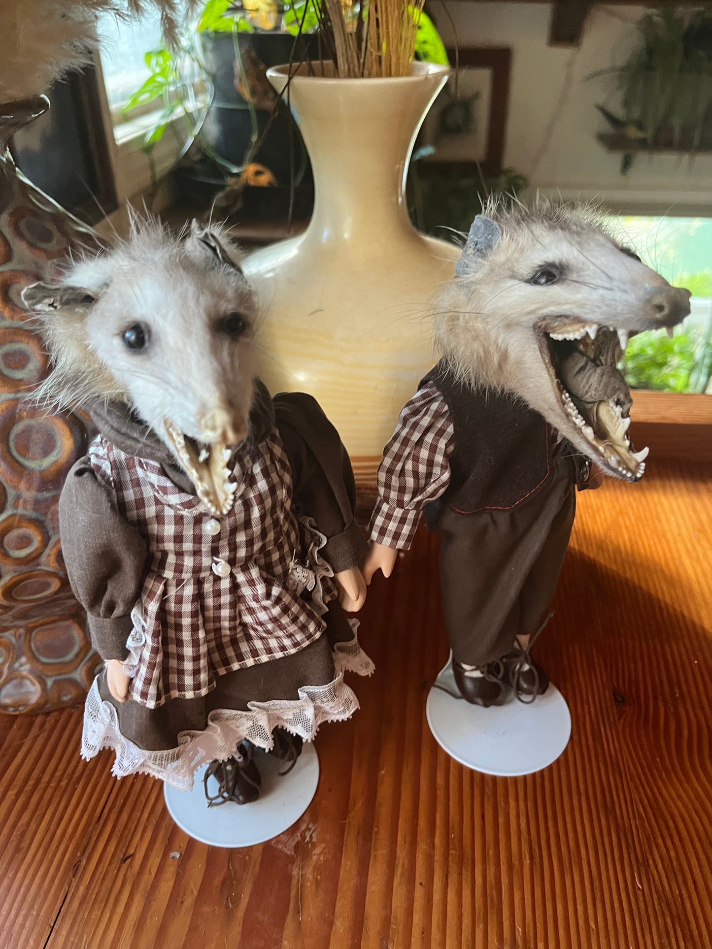 Opossum pair