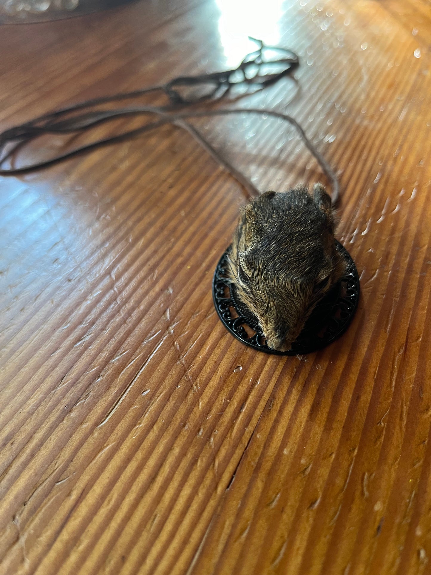 Chipmunk pendant