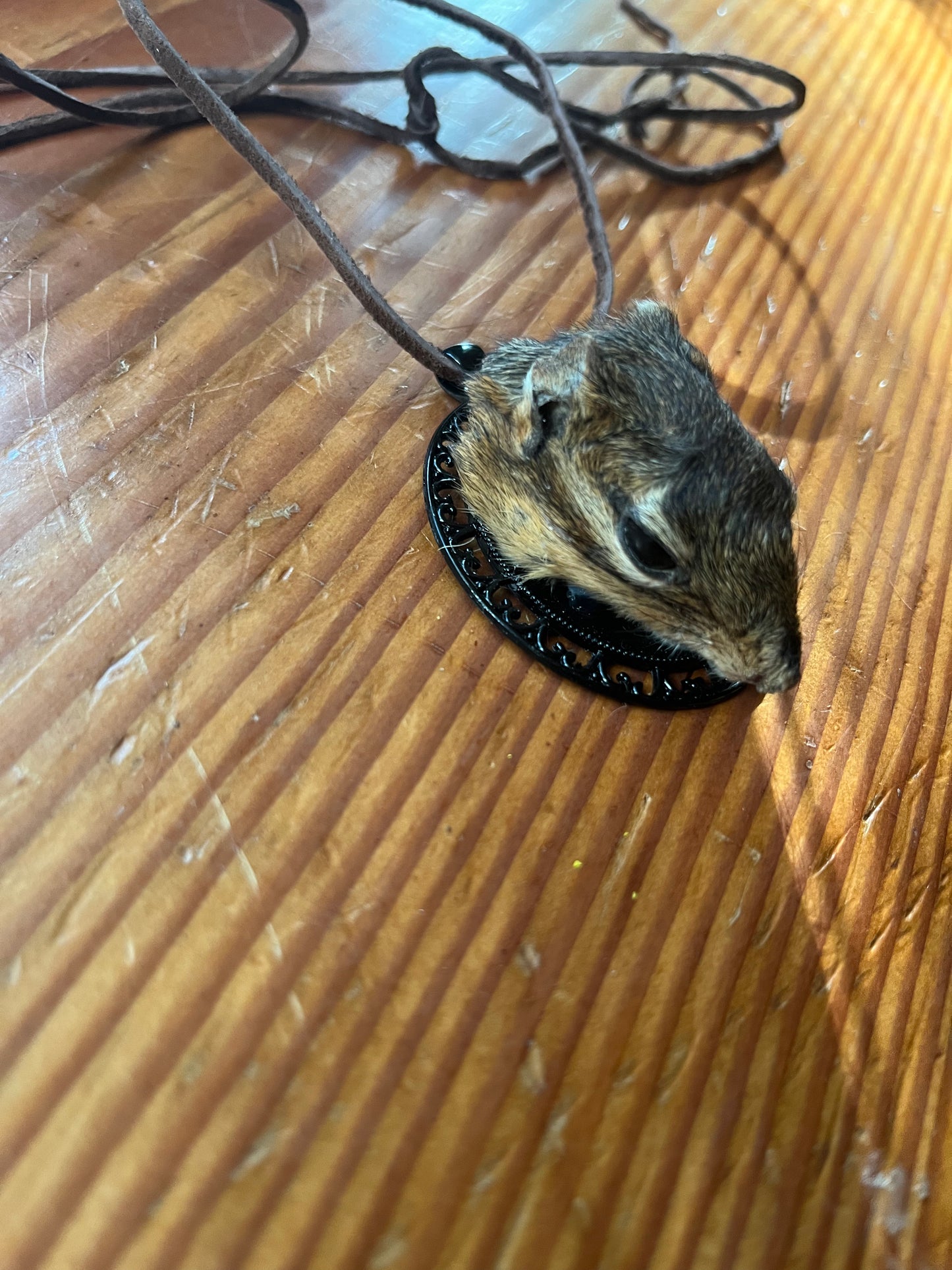 Chipmunk pendant