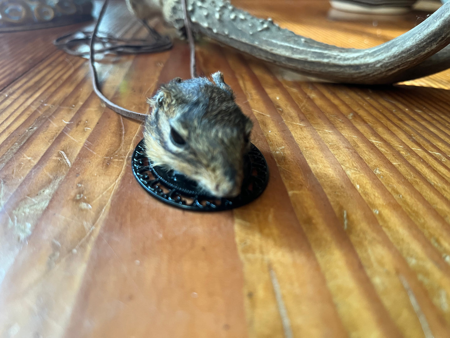 Chipmunk pendant