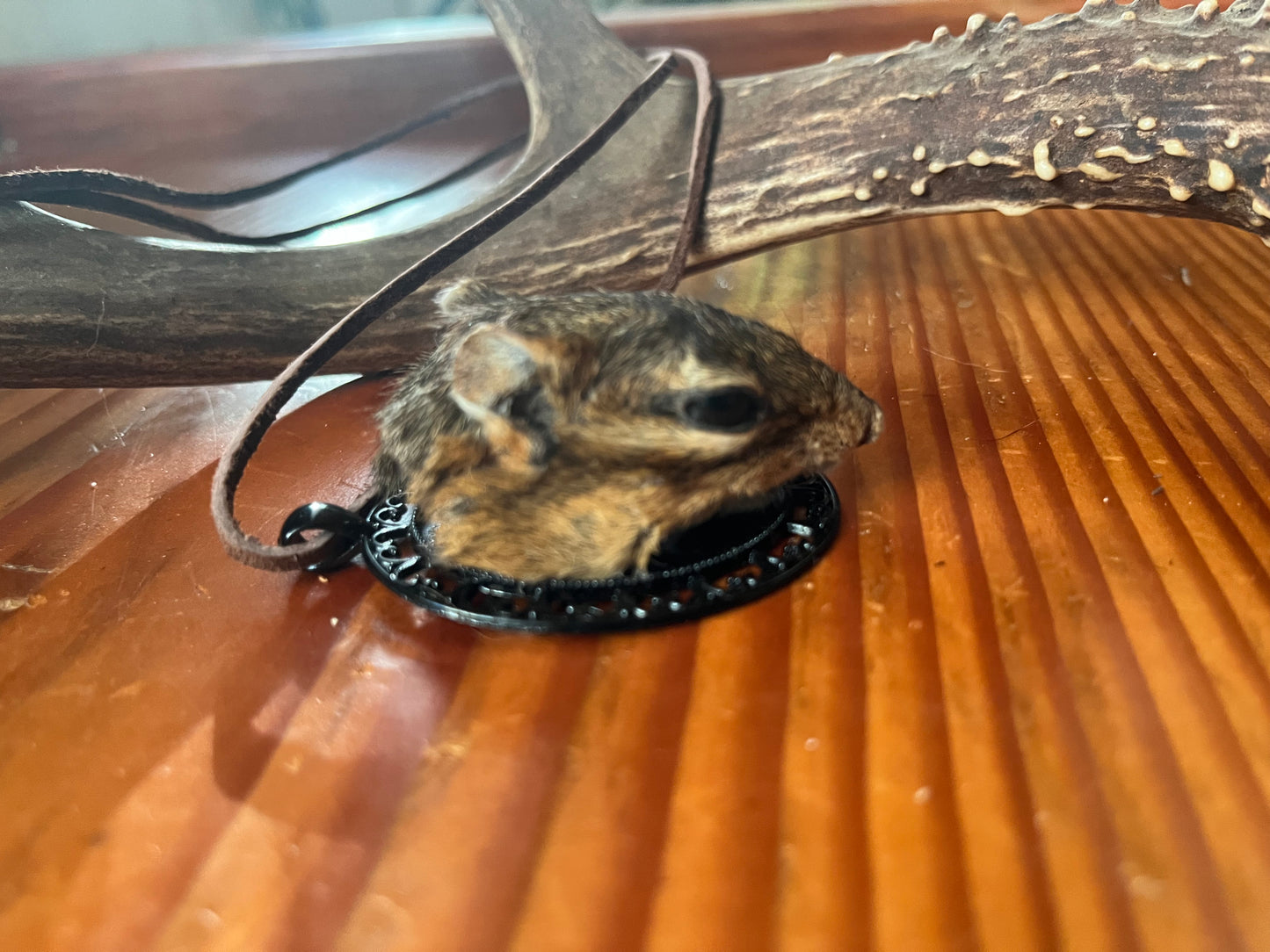 Chipmunk pendant