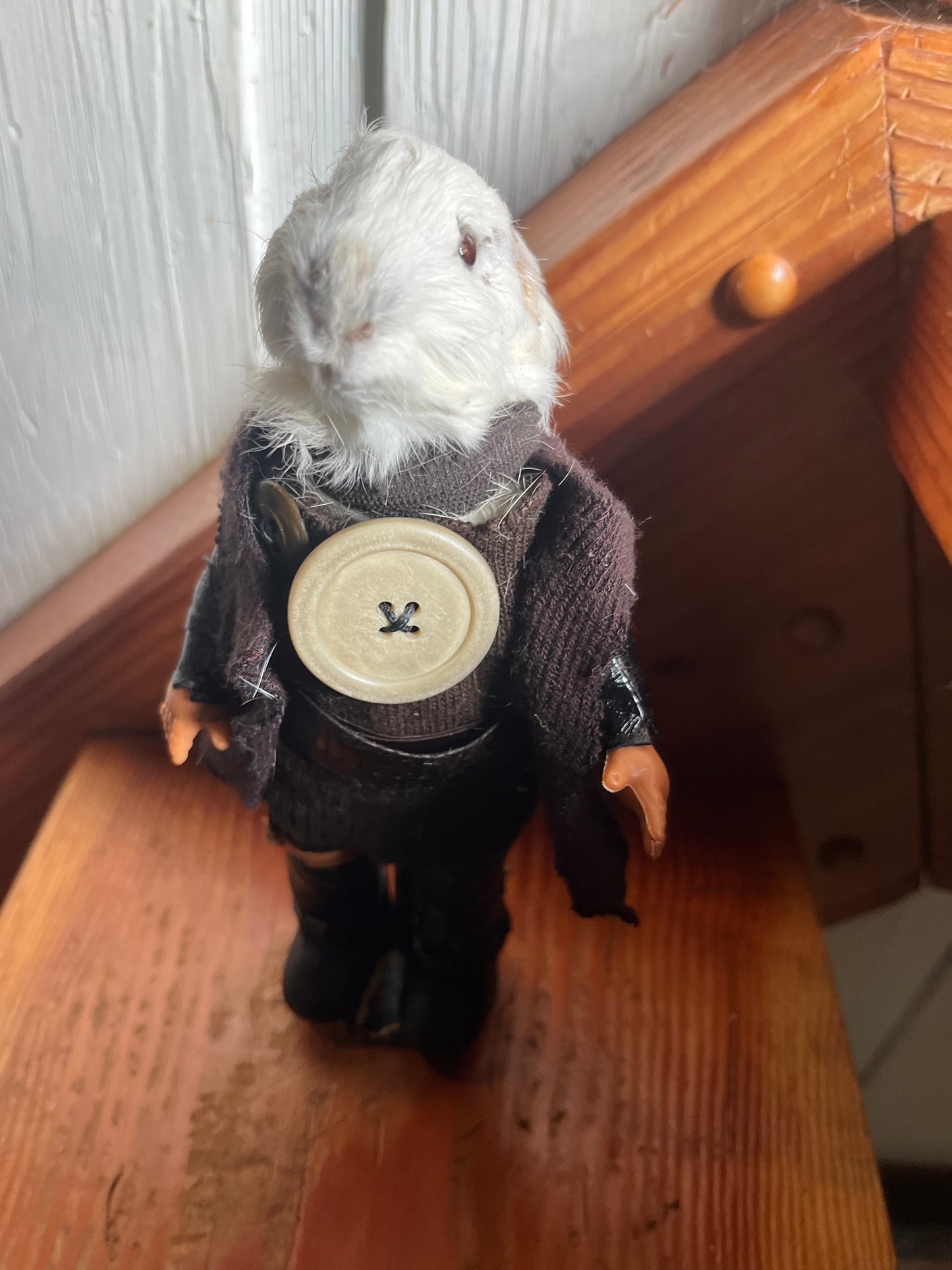 Wasteland cavalry 70