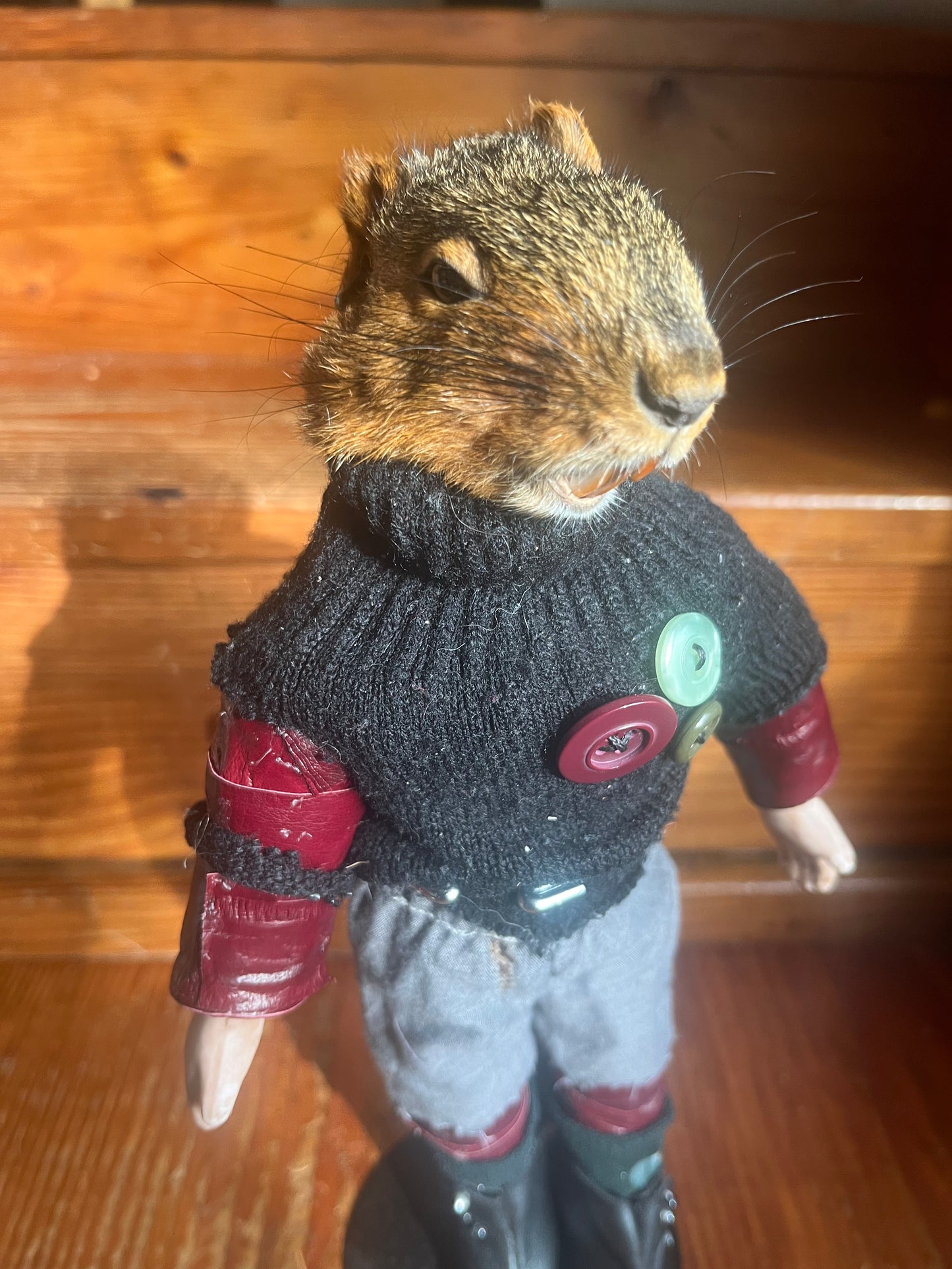 Wasteland cavalry 76 squirrel