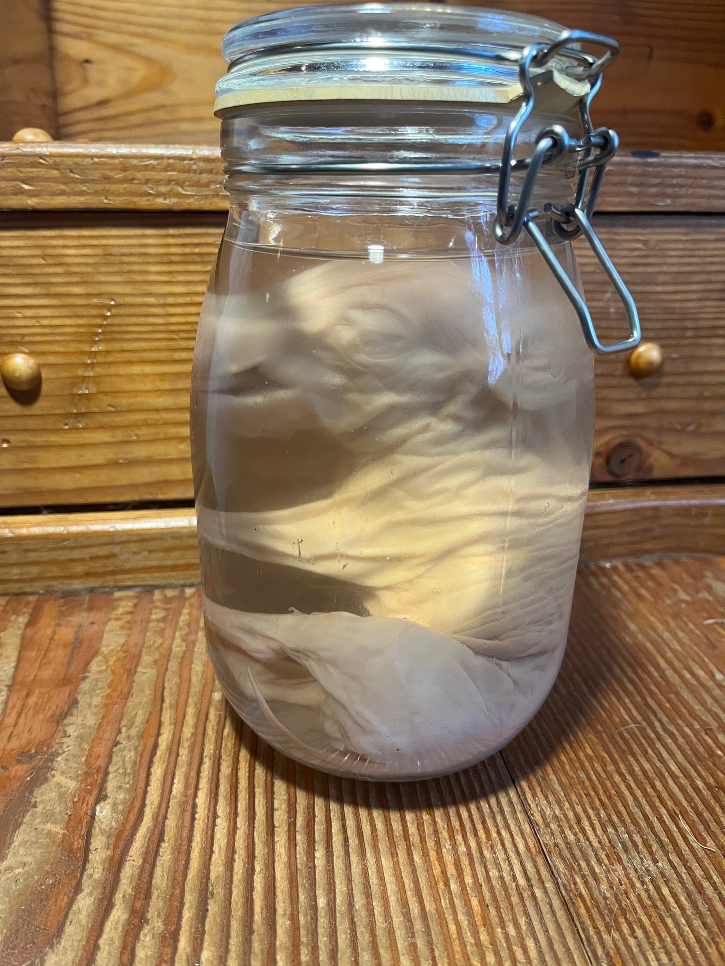 Untitled Nov23_14:50