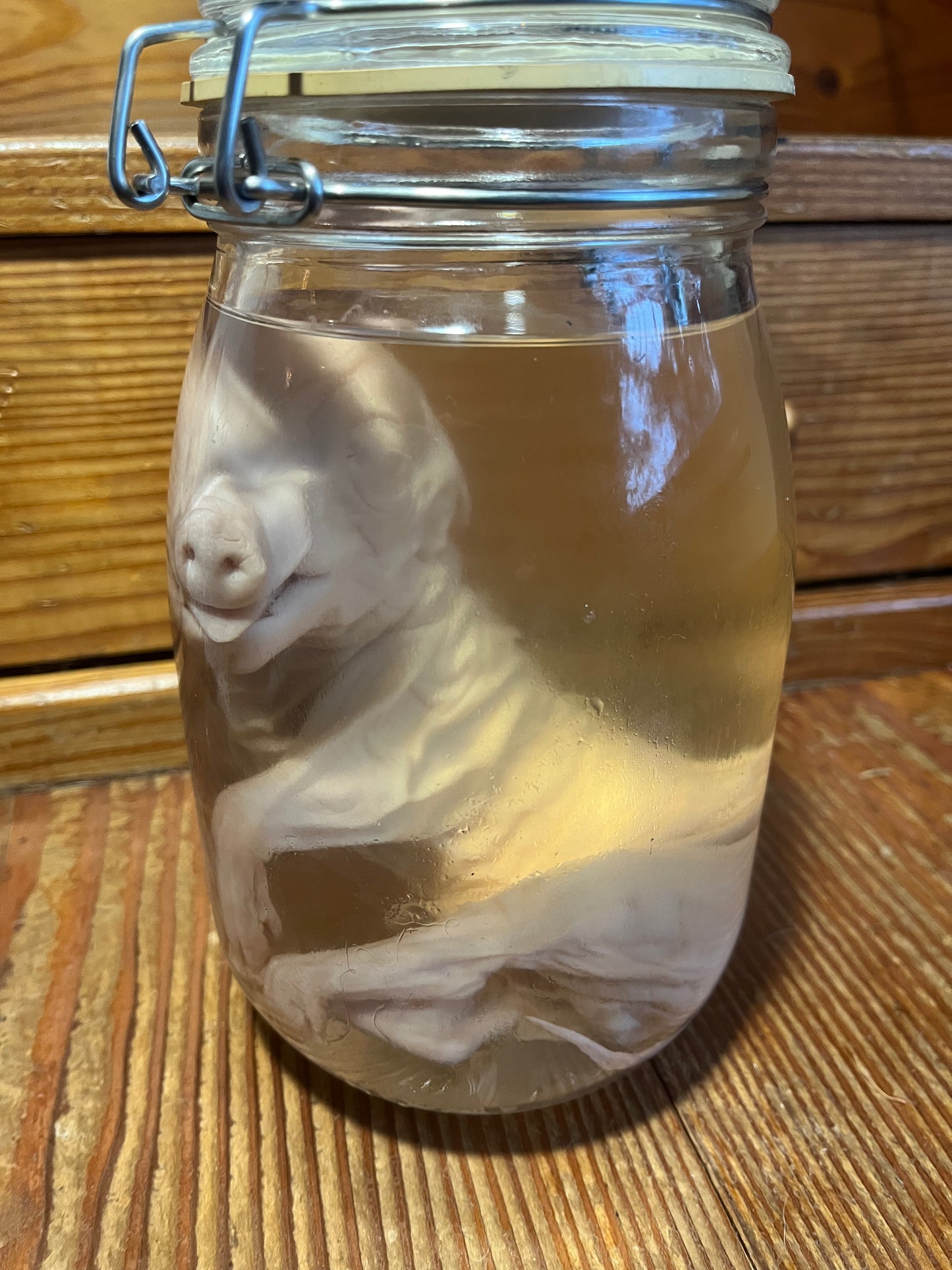 Untitled Nov23_14:50