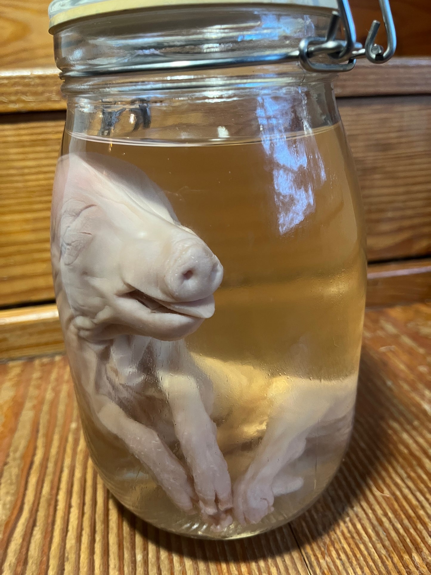 Untitled Nov23_14:50