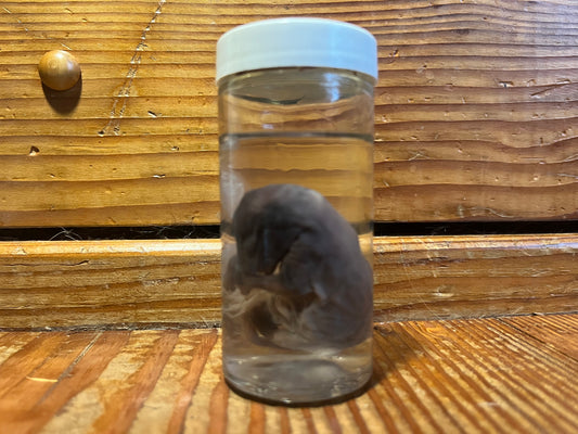 Untitled Nov23_15:14