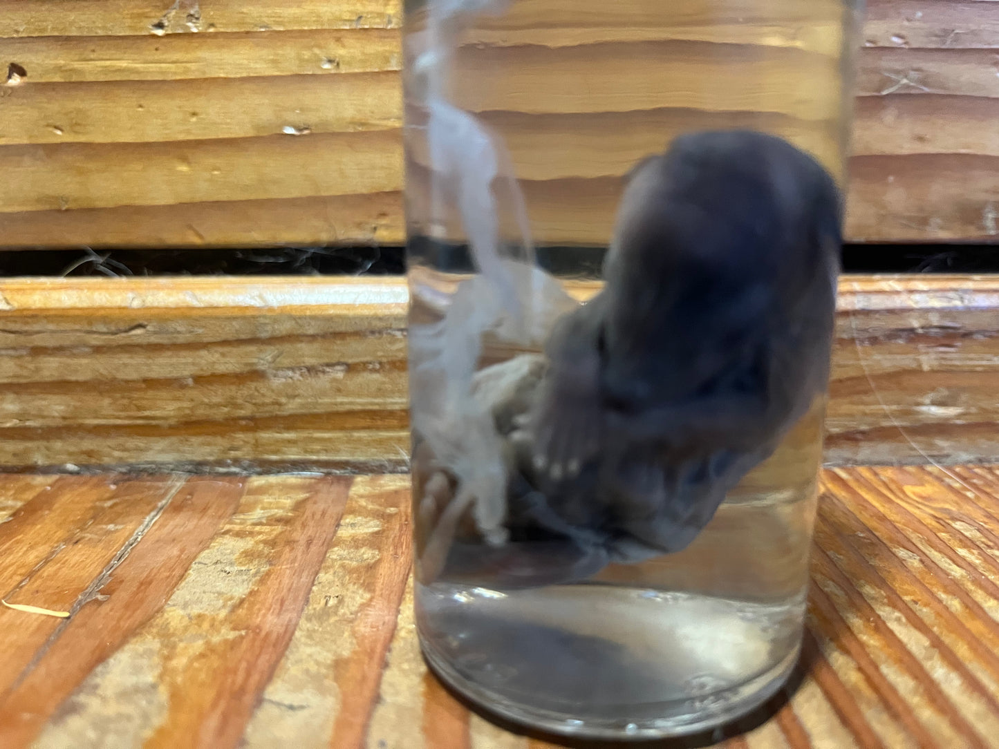 Untitled Nov23_15:14