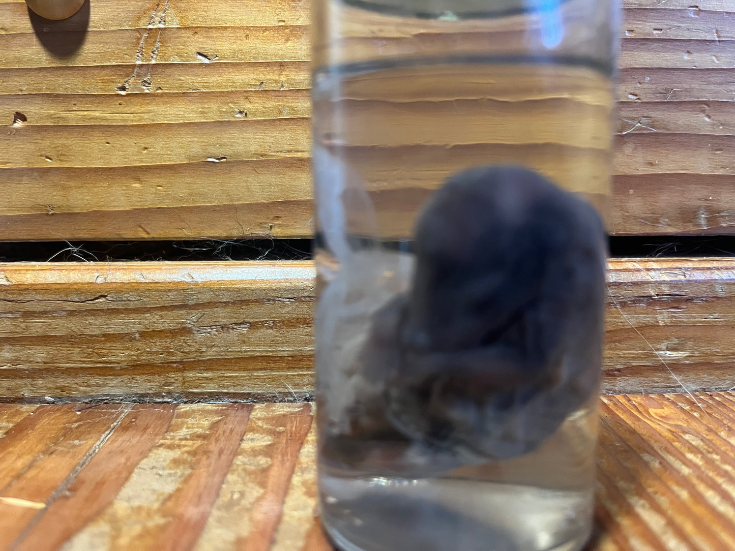 Untitled Nov23_15:14