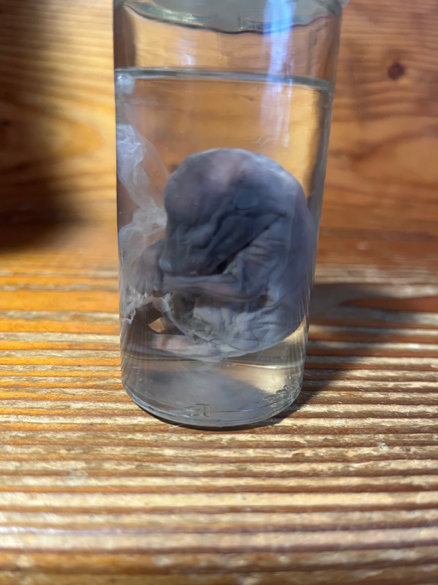 Untitled Nov23_15:14