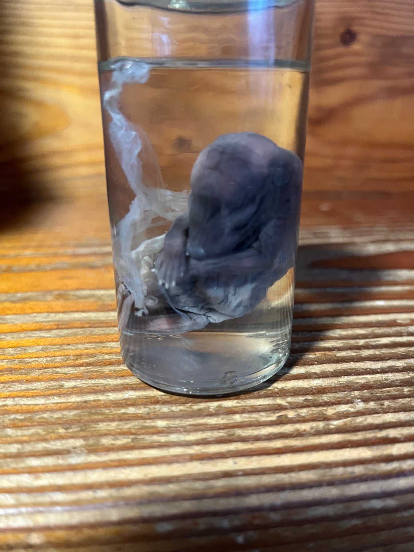 Untitled Nov23_15:14