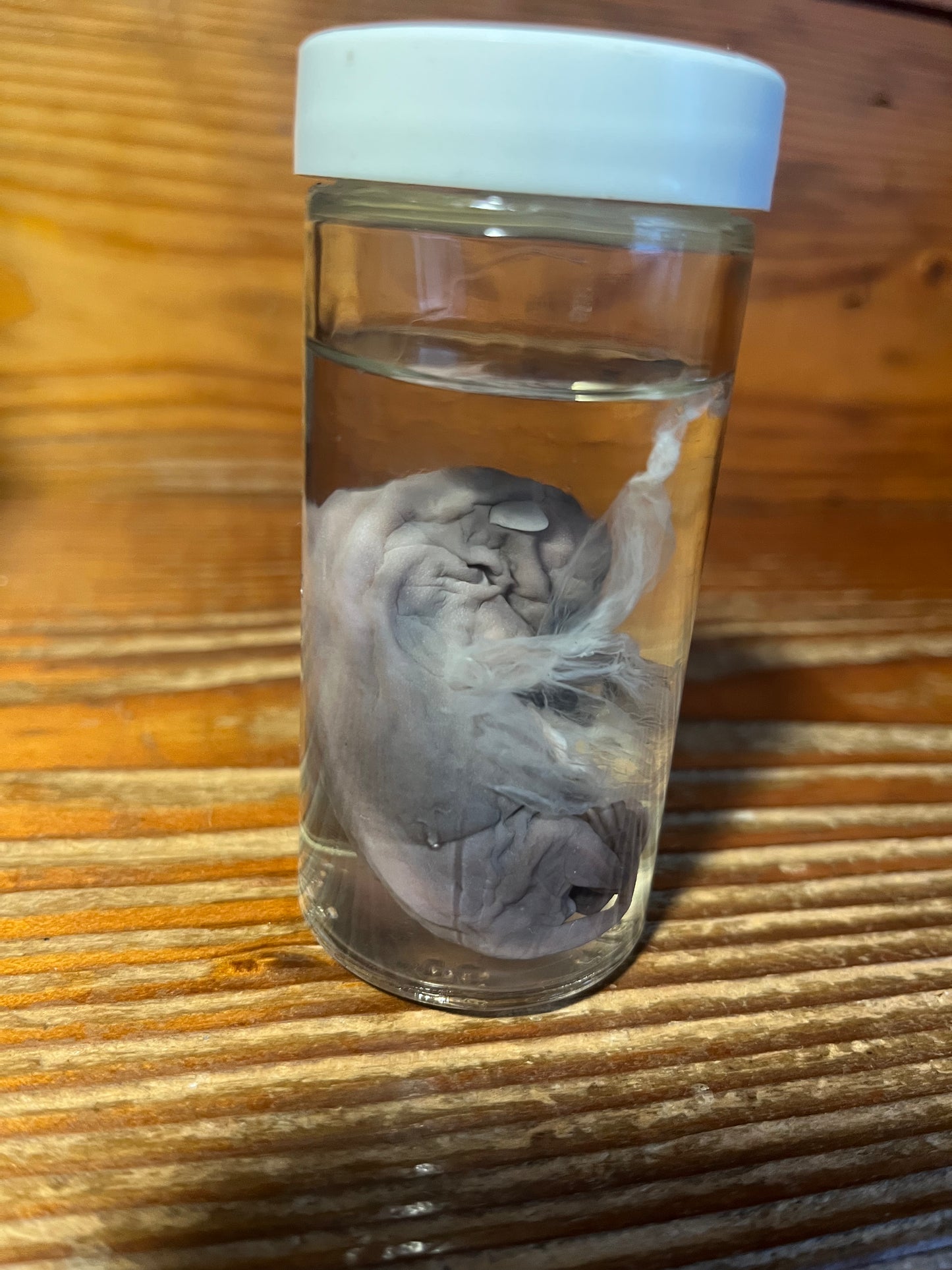 Untitled Nov23_15:14