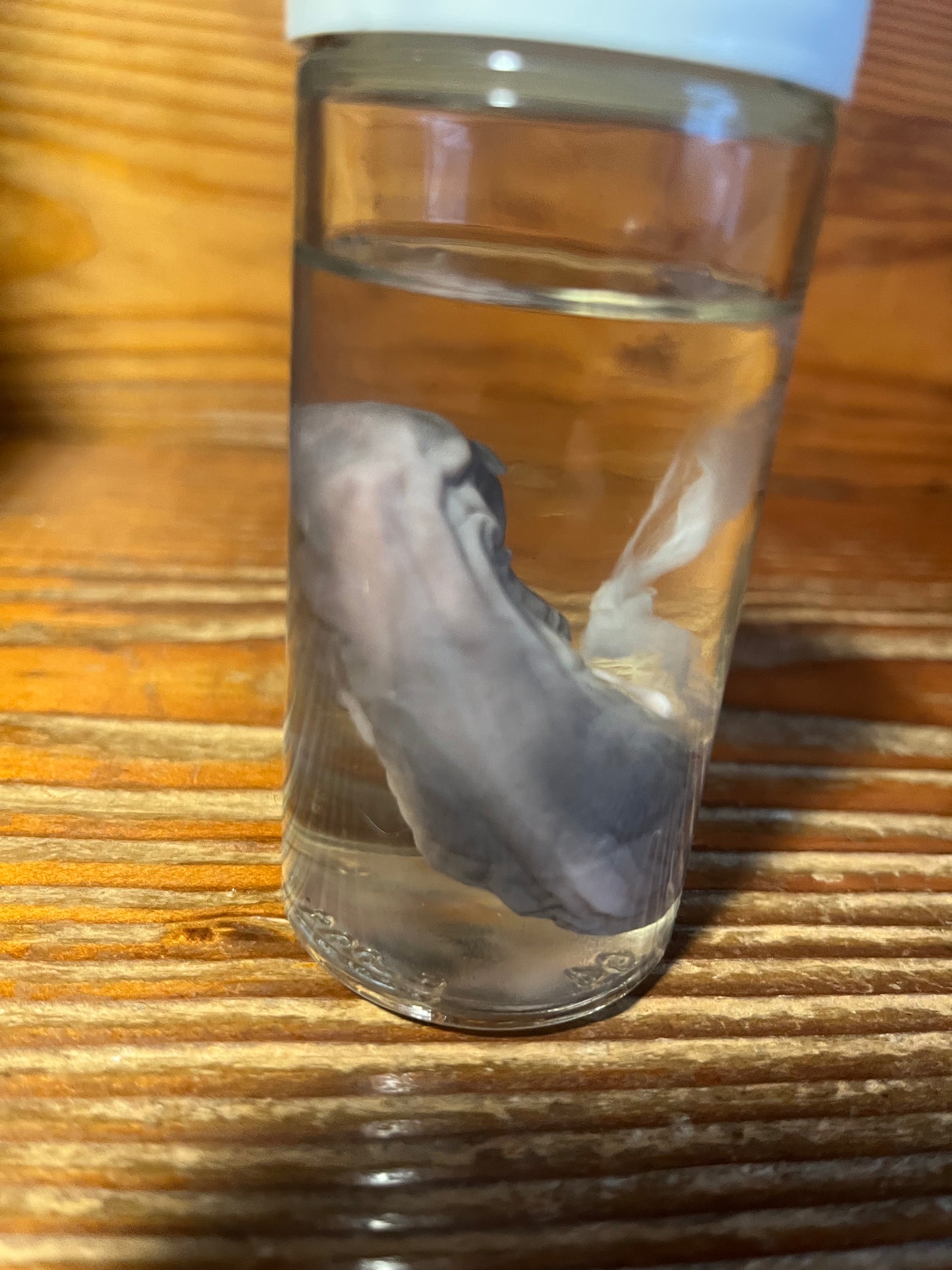 Untitled Nov23_15:14