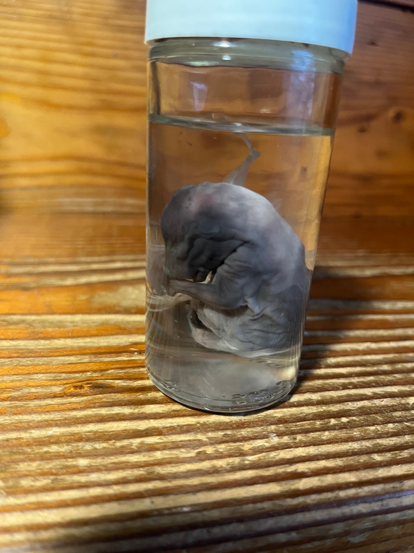 Untitled Nov23_15:14