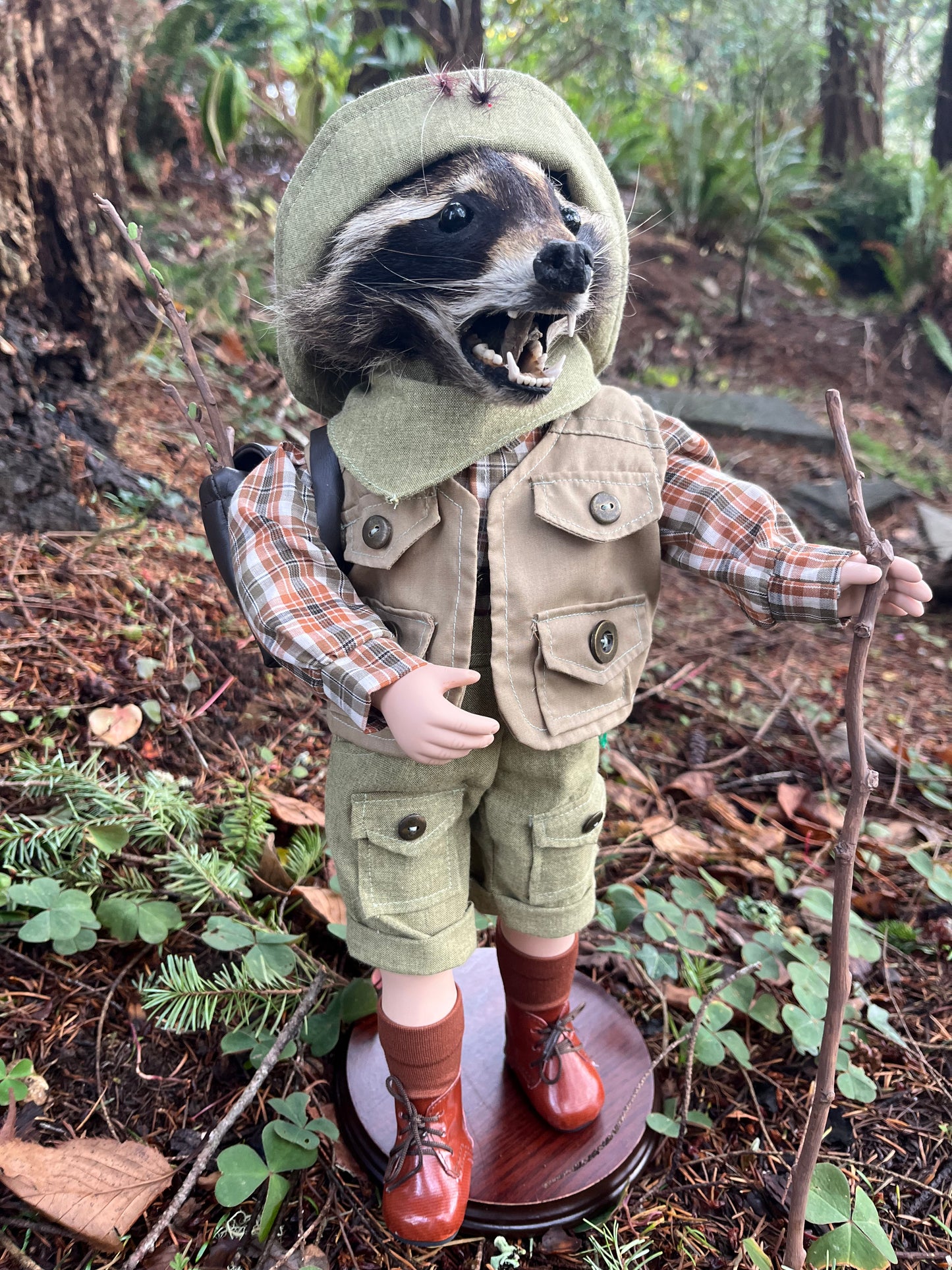 Lil’ Hiker Raccoon