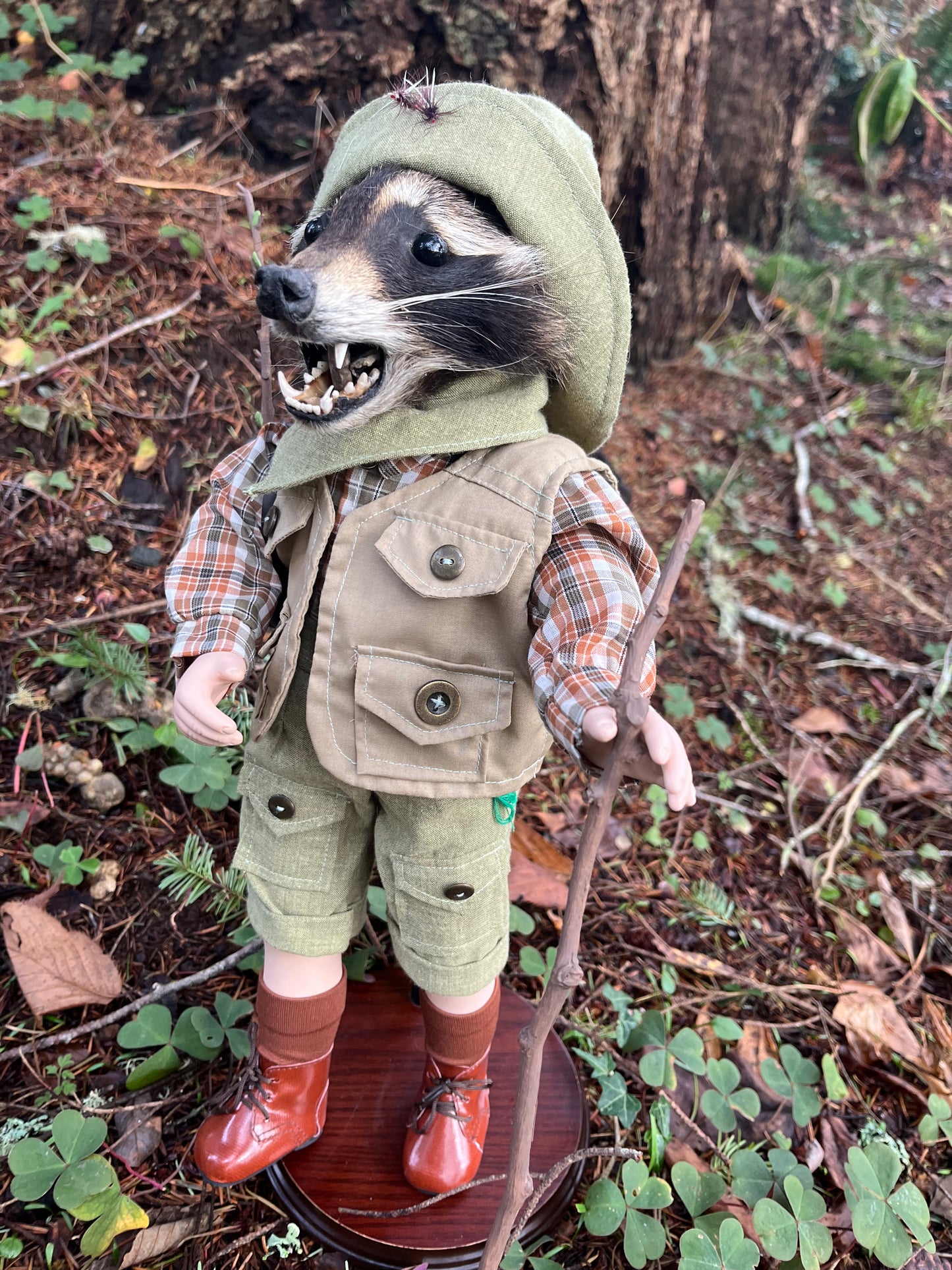 Lil’ Hiker Raccoon