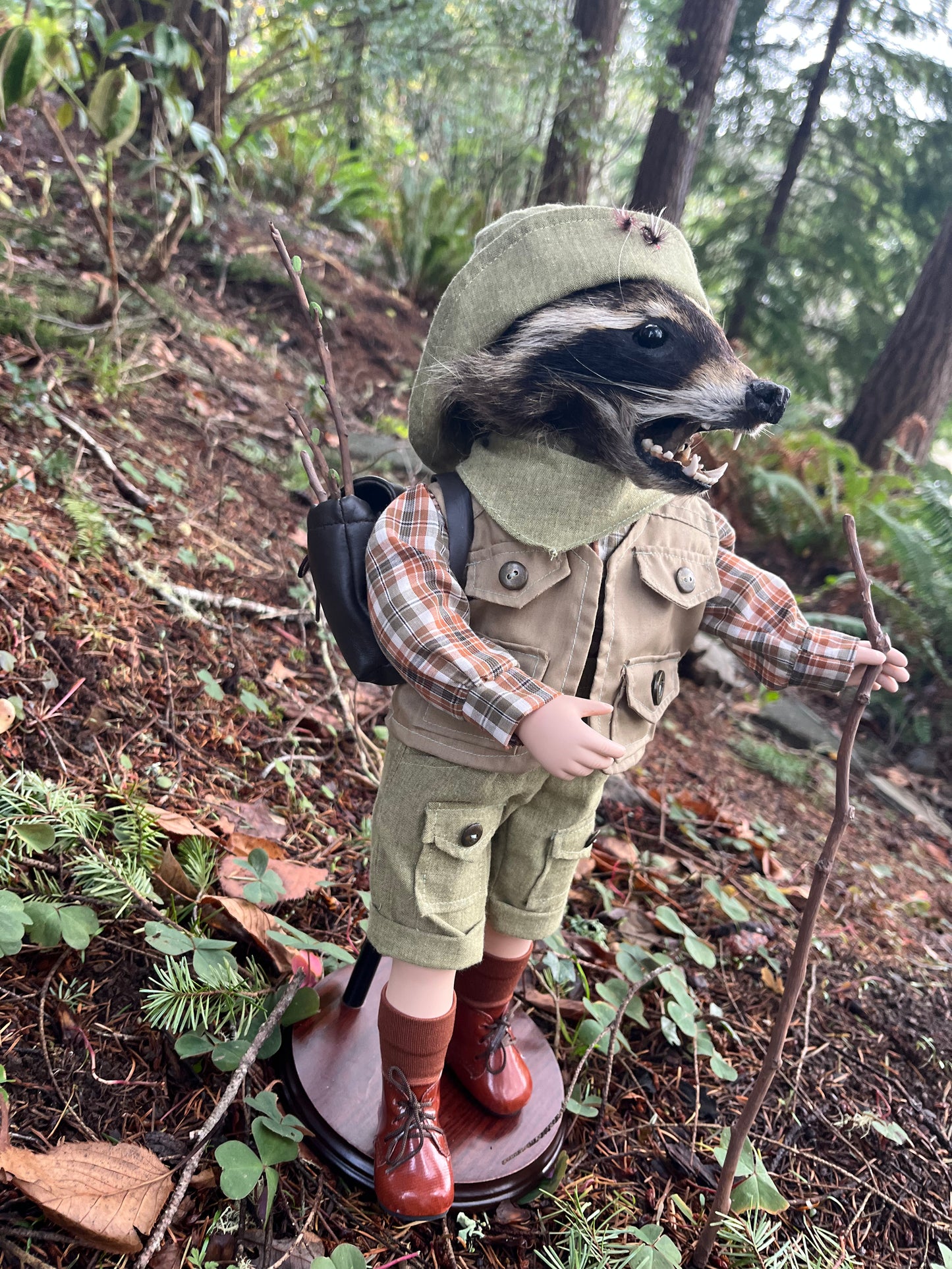 Lil’ Hiker Raccoon