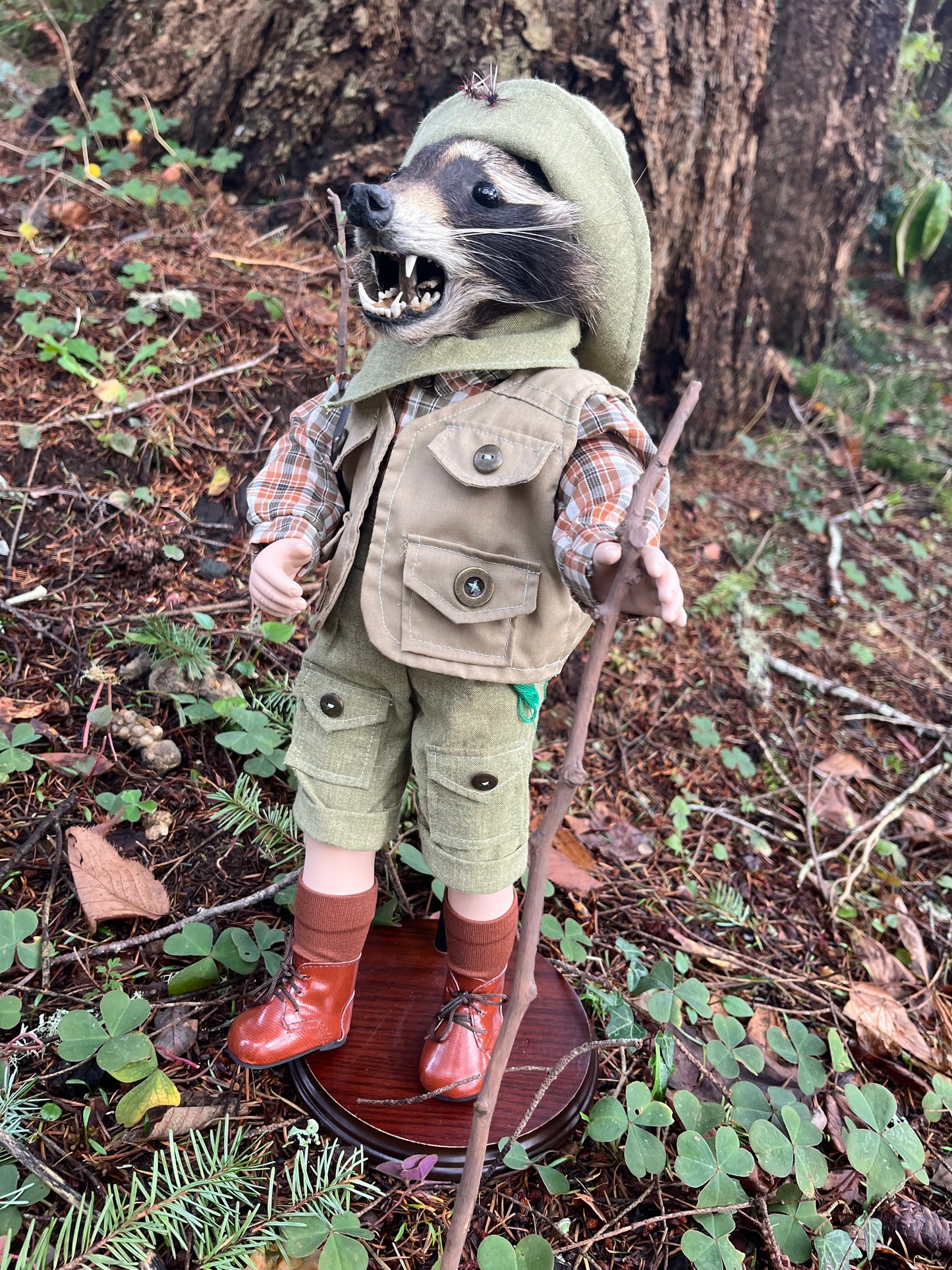 Lil’ Hiker Raccoon