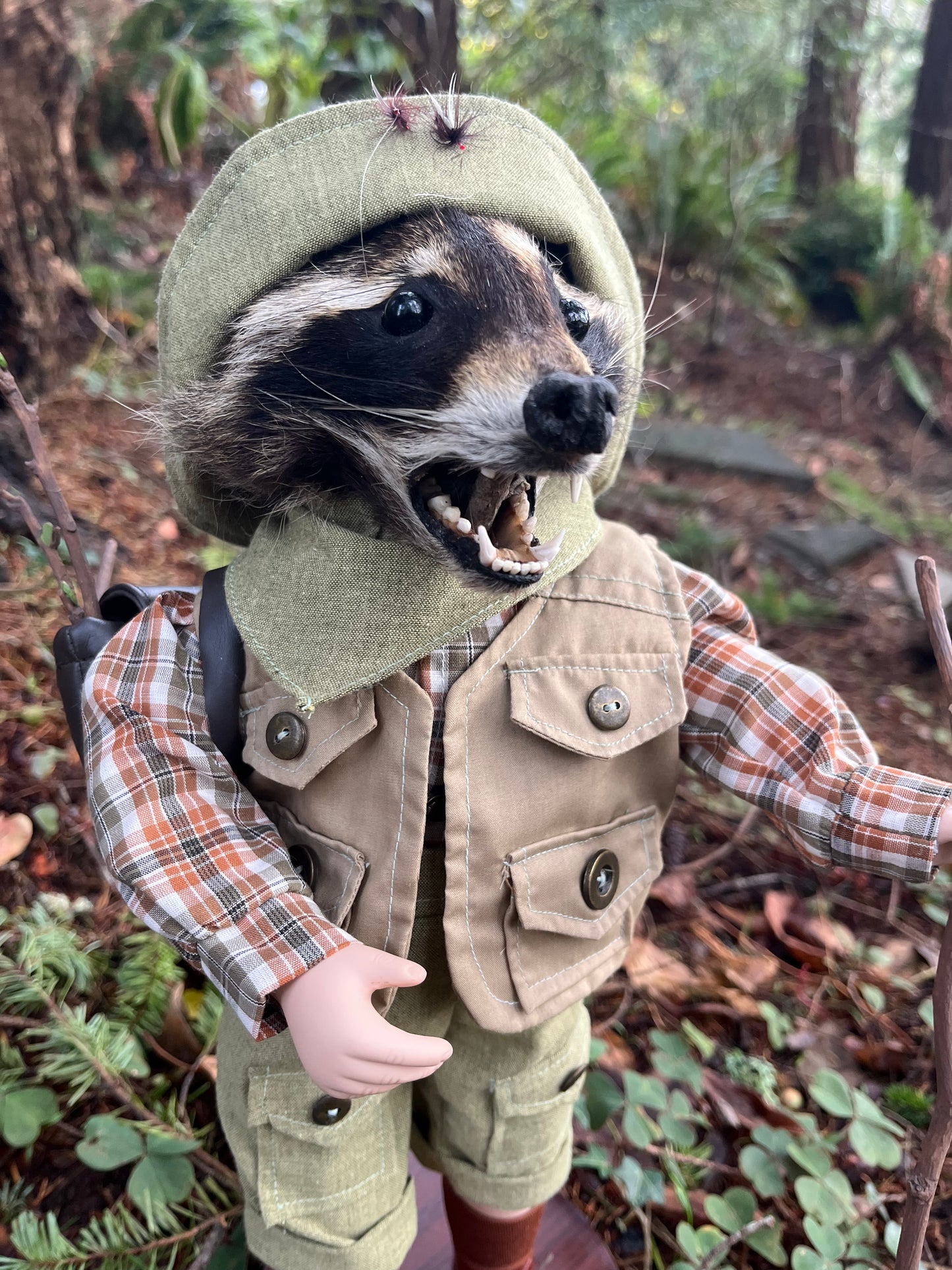 Lil’ Hiker Raccoon