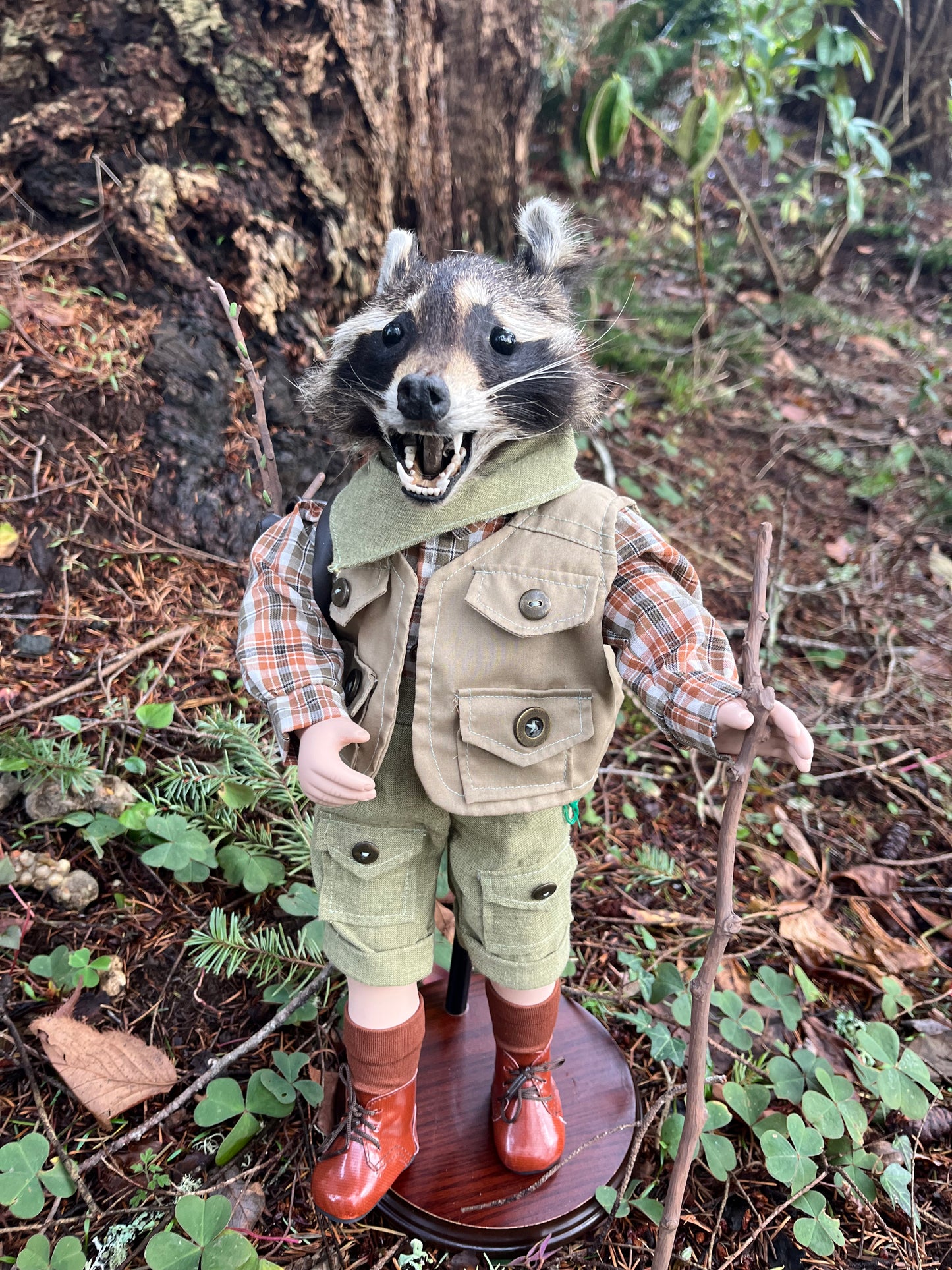 Lil’ Hiker Raccoon