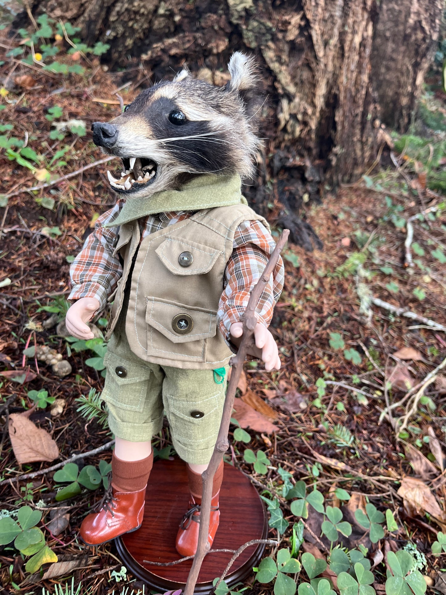 Lil’ Hiker Raccoon