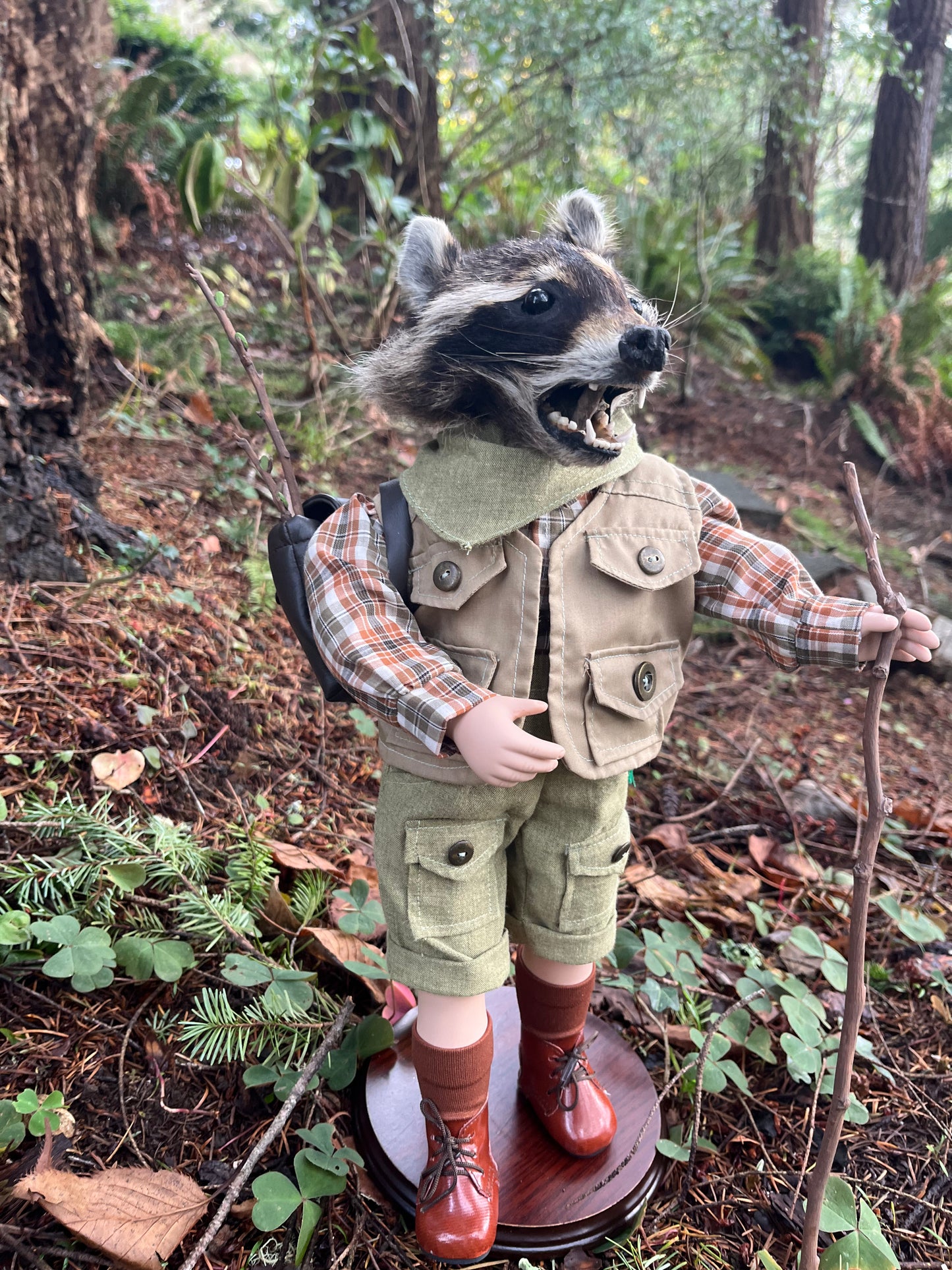 Lil’ Hiker Raccoon