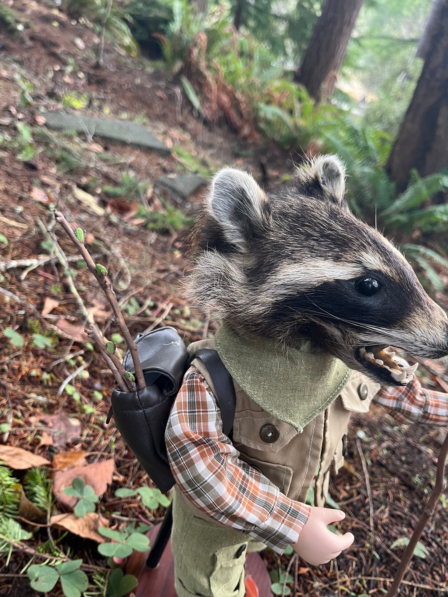 Lil’ Hiker Raccoon