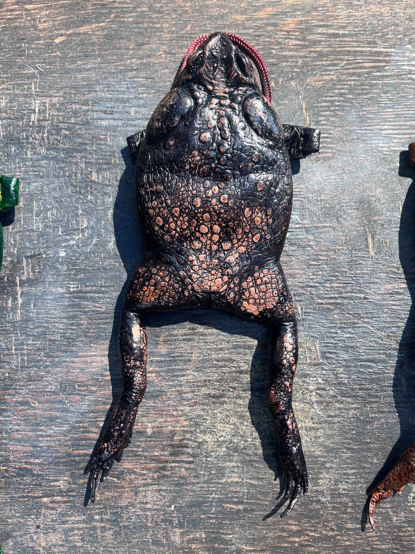 Cane Toad Purse