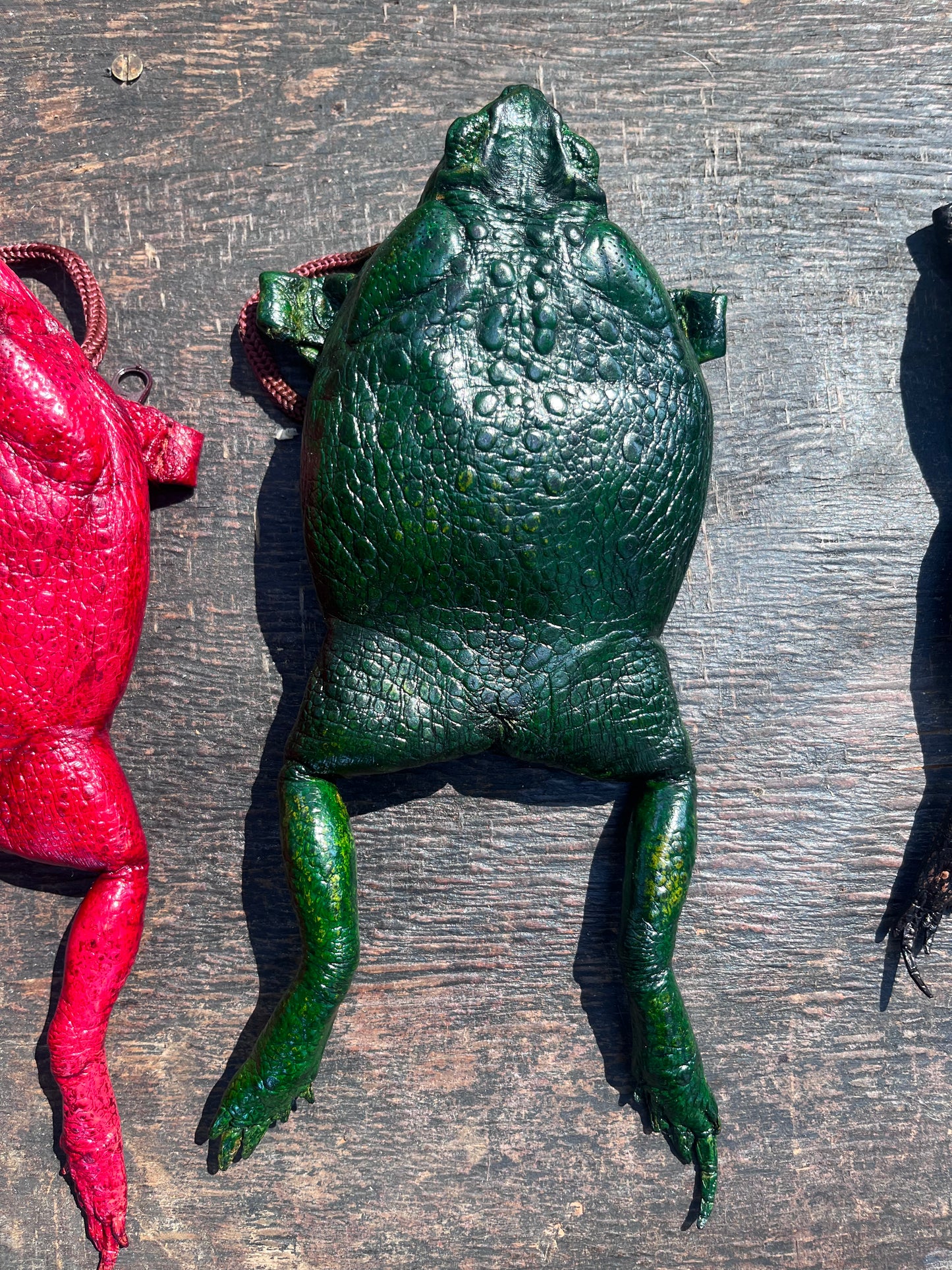Cane Toad Purse