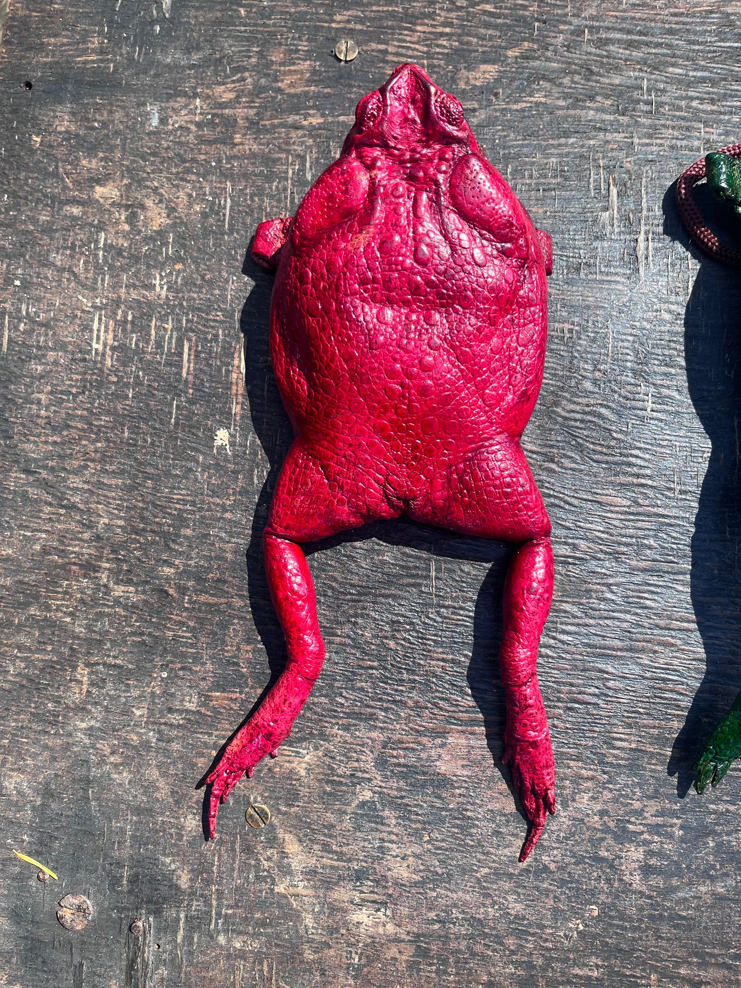 Cane Toad Purse