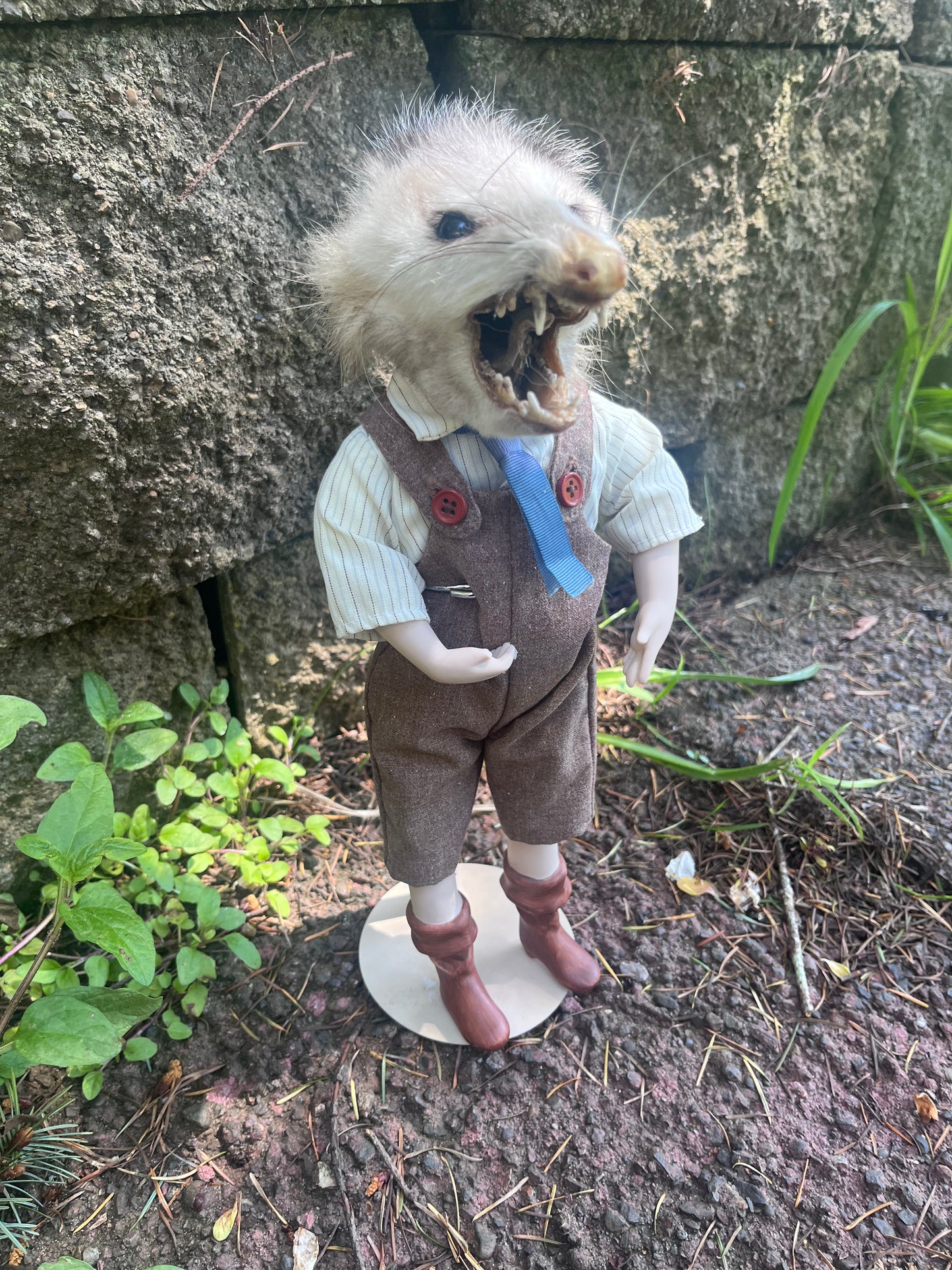 Opossum Jack