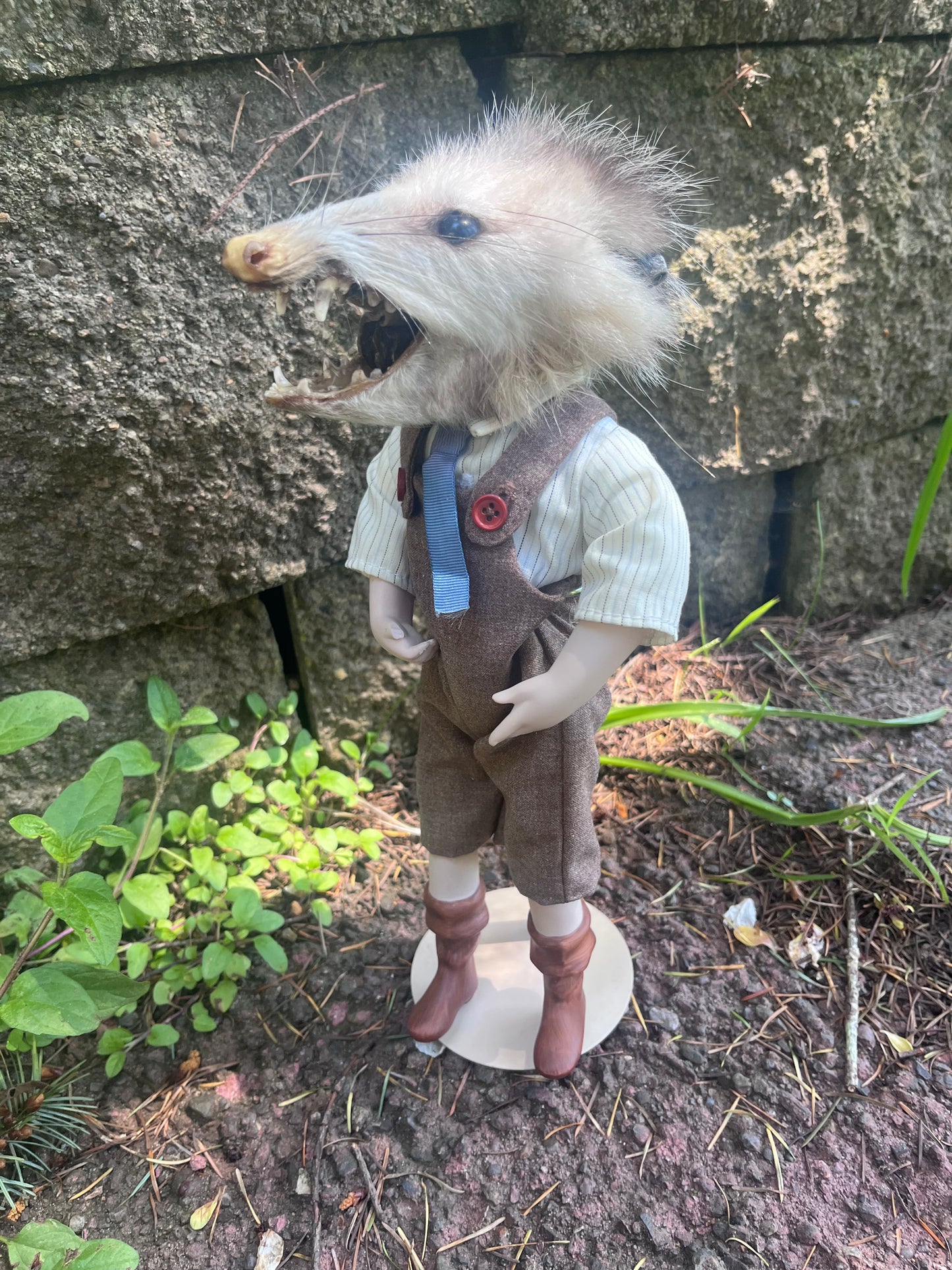 Opossum Jack