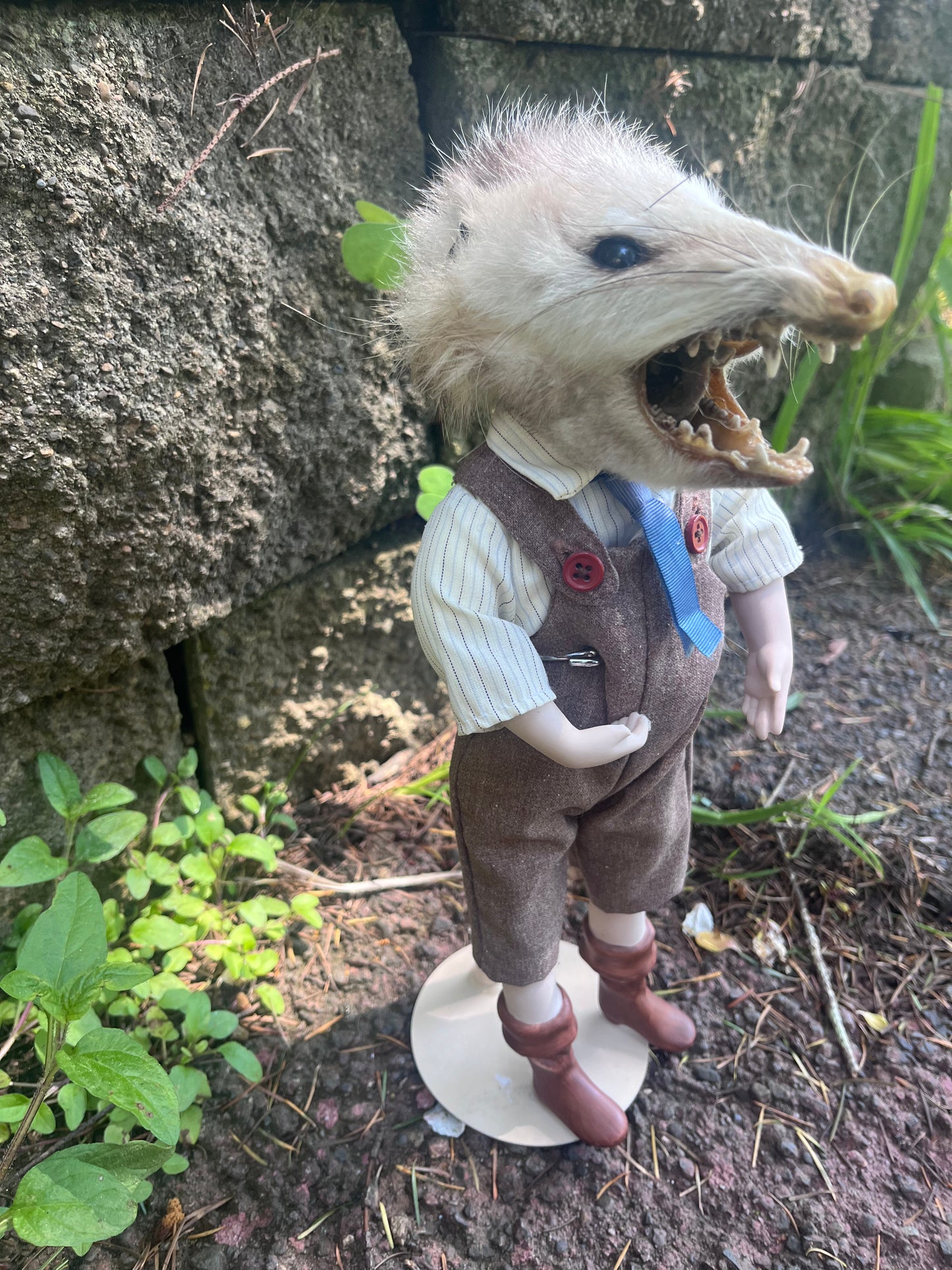 Opossum Jack