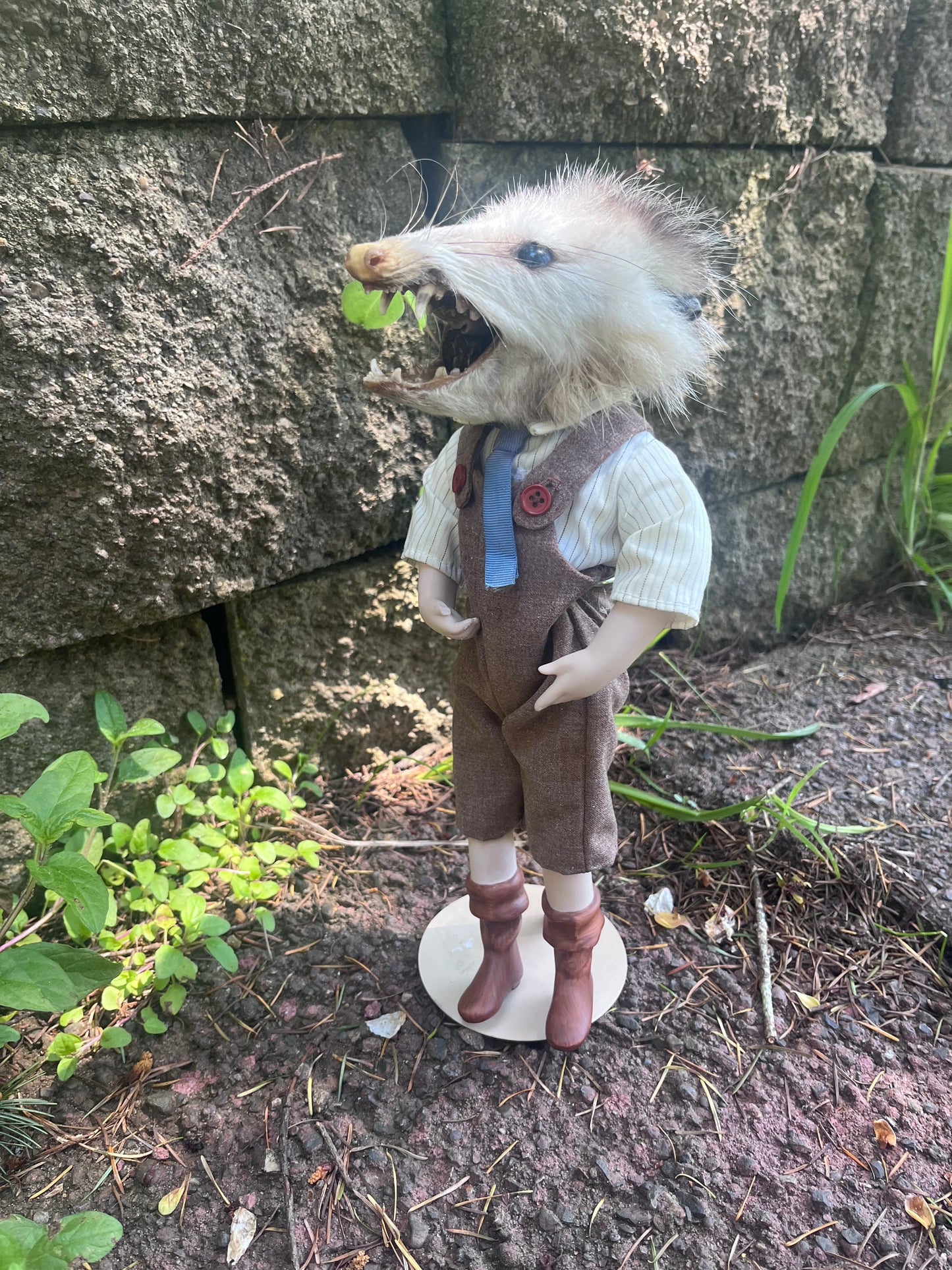 Opossum Jack